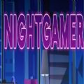 night gamer汉化版